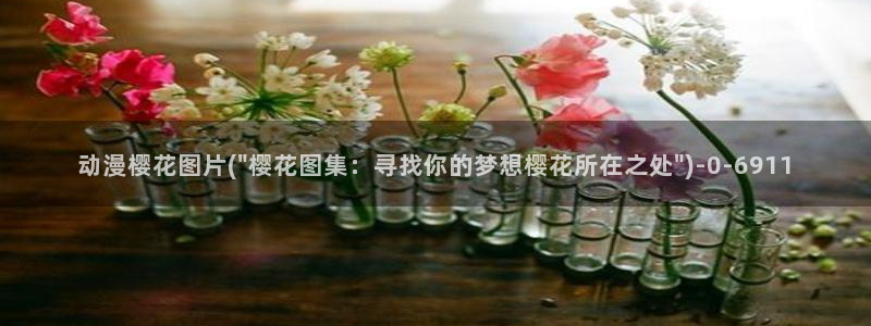樱花动漫大全