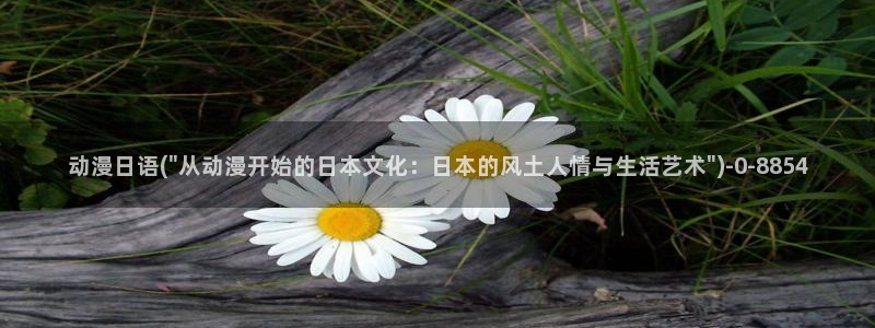 同性动漫