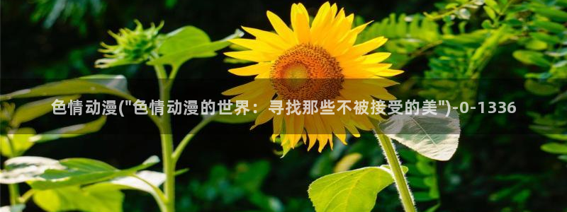 布丁动漫