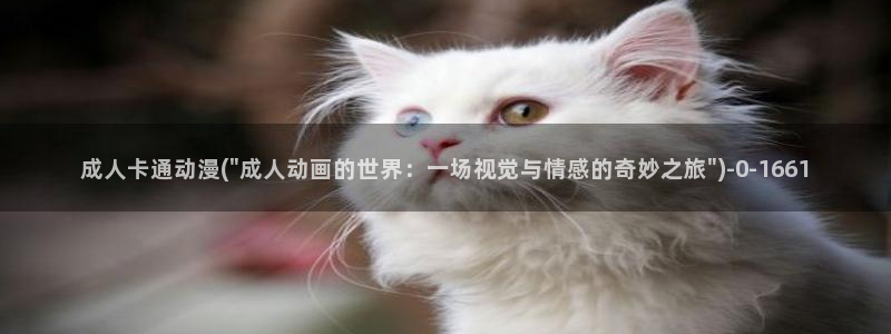 风车动漫