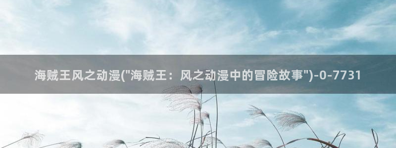 看动漫：海贼王风之动漫(\