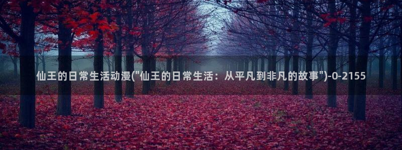 动漫小说